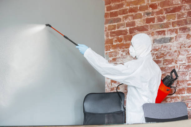 Best Mold Damage Restoration  in Lagrange, OH