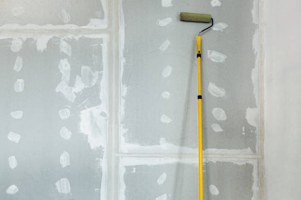 Best Crawl Space Mold Remediation  in Lagrange, OH
