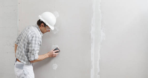 Biohazard Mold Removal in Lagrange, OH