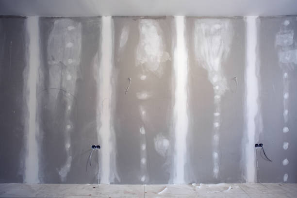 Best Basement Mold Removal  in Lagrange, OH